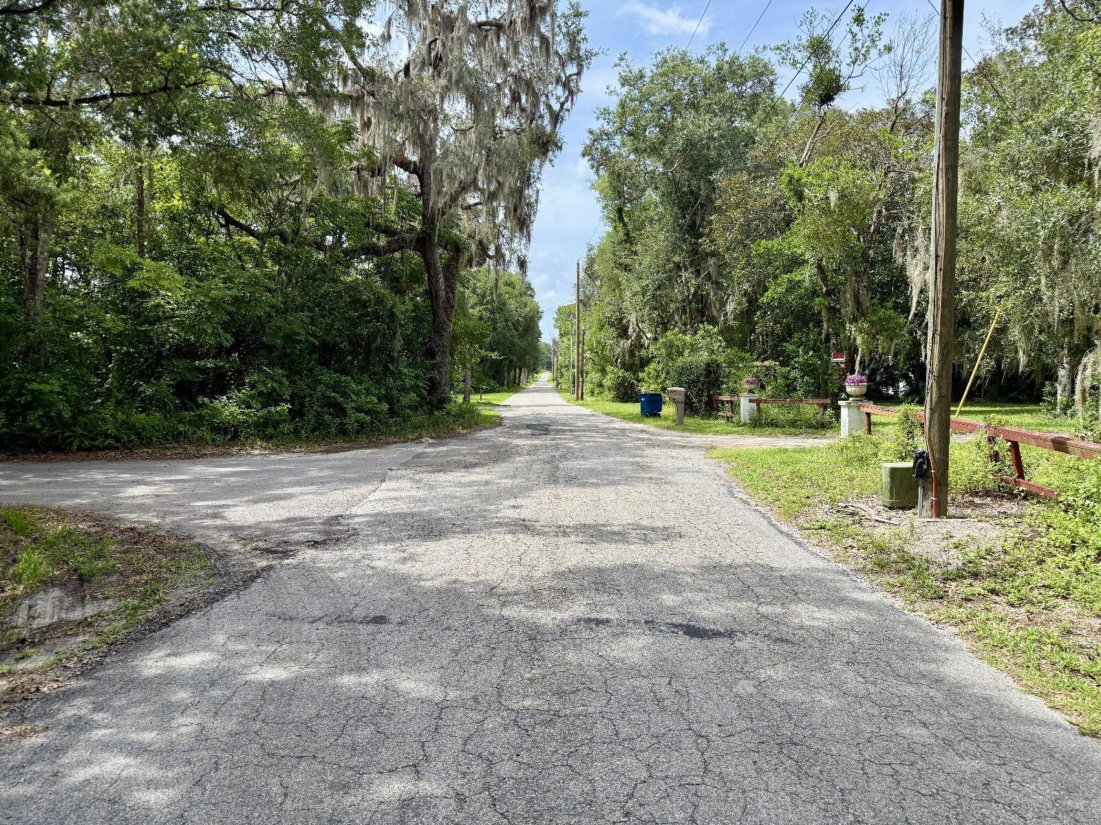 Image 6 of 7 For  North Road 
