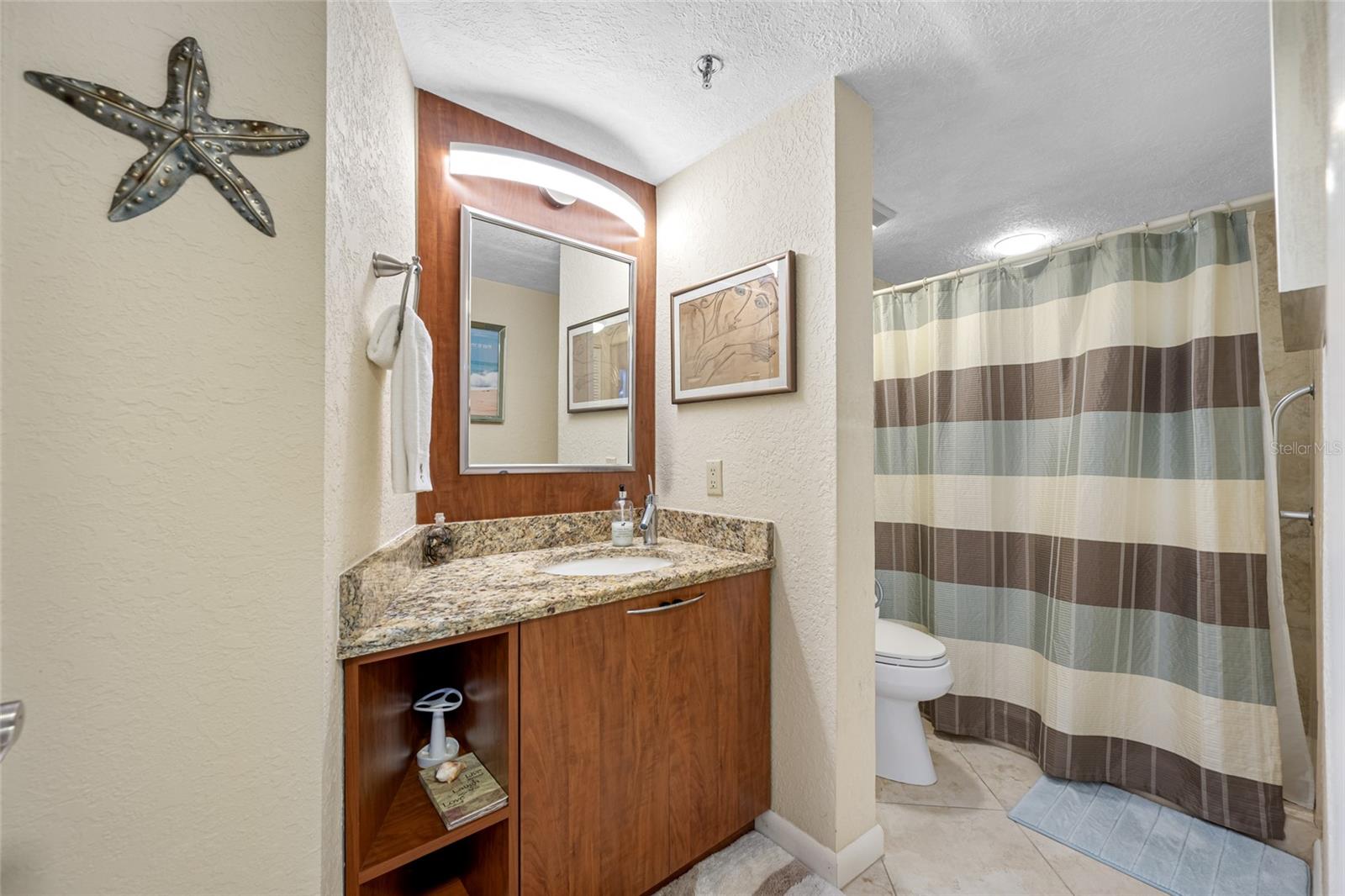 Image 50 of 81 For 1660 Gulf Boulevard 1001