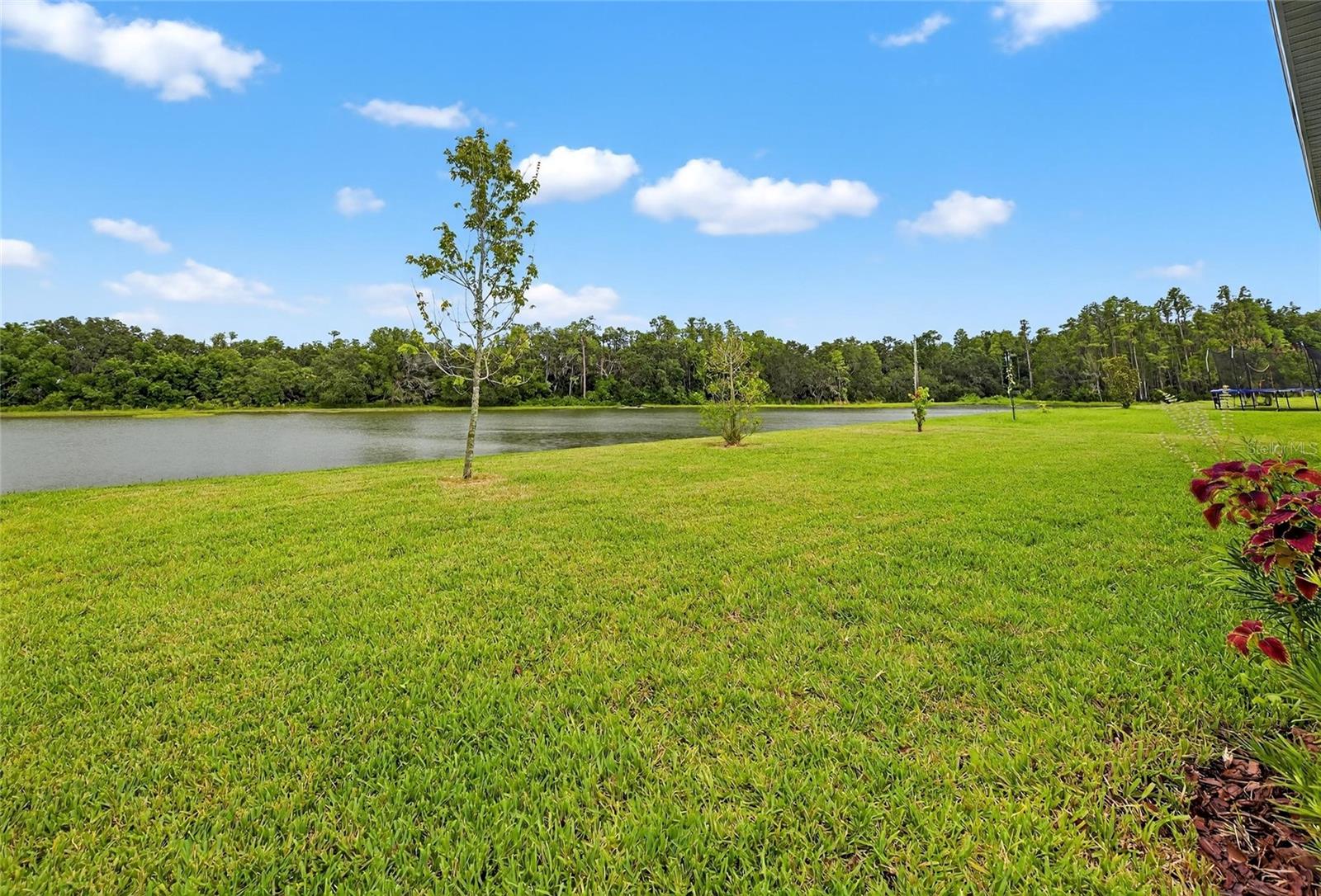Image 87 of 93 For 10831 Sundrift Drive