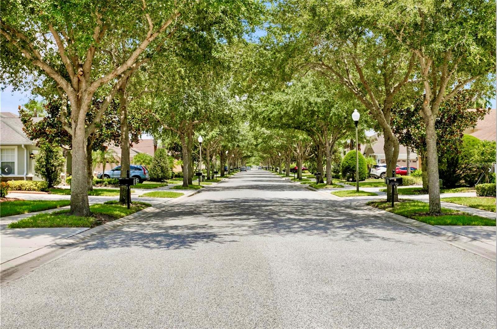 Image 35 of 47 For 20821 Amanda Oak Court