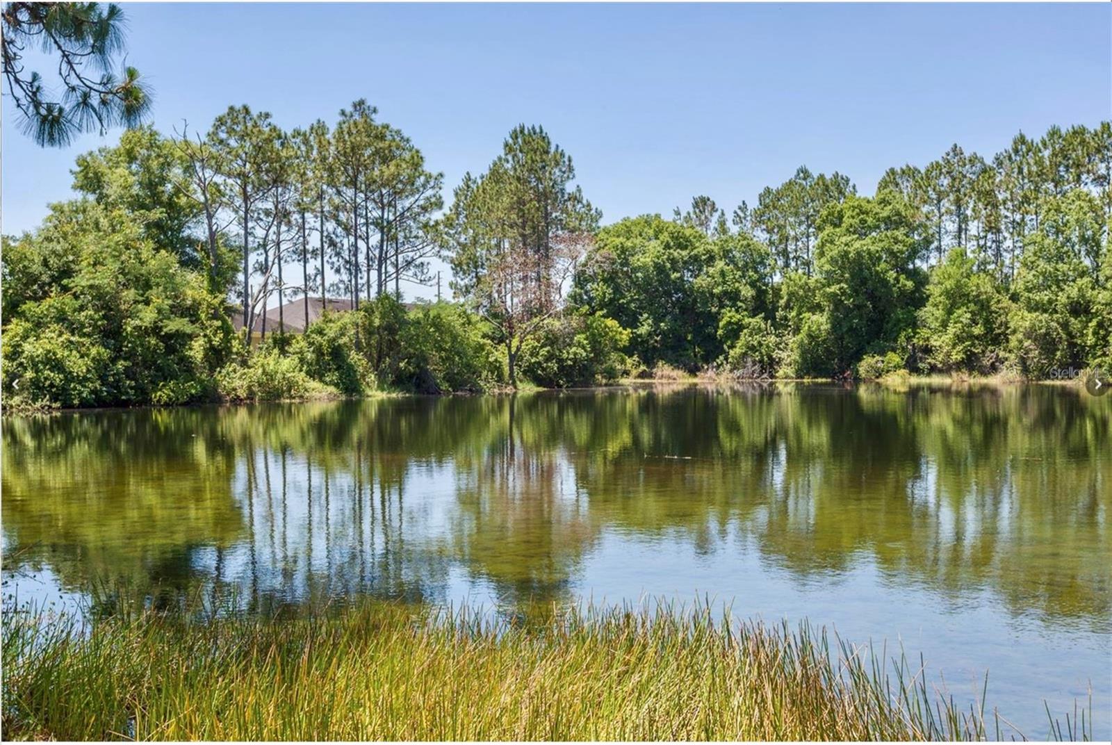 Image 42 of 47 For 20821 Amanda Oak Court