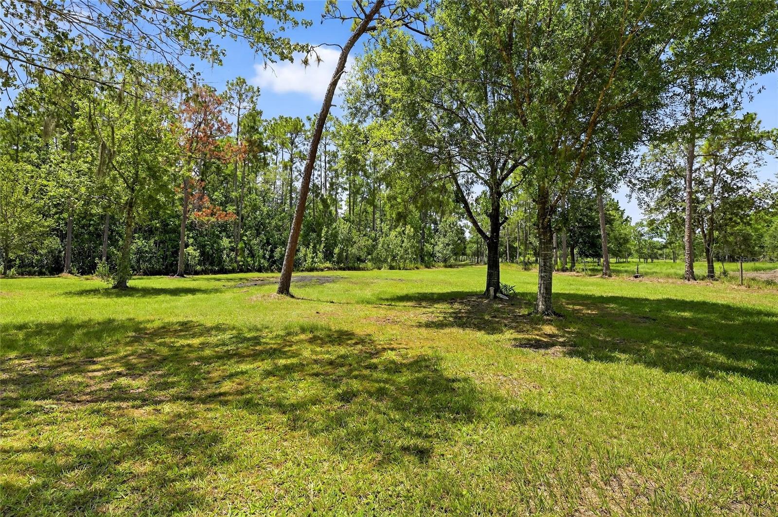 Image 63 of 91 For 6250 Green Pond Road