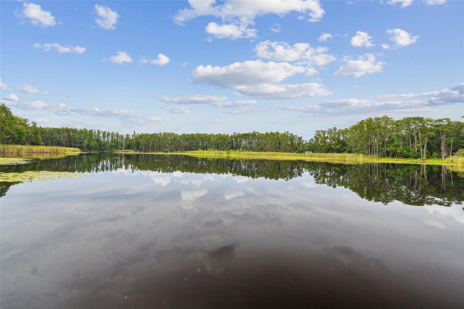 Details for 4540 Mitchell Road, LAND O LAKES, FL 34638