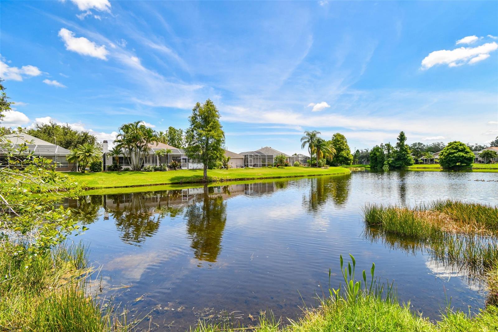 Listing photo id 1 for 10310 Millport Drive