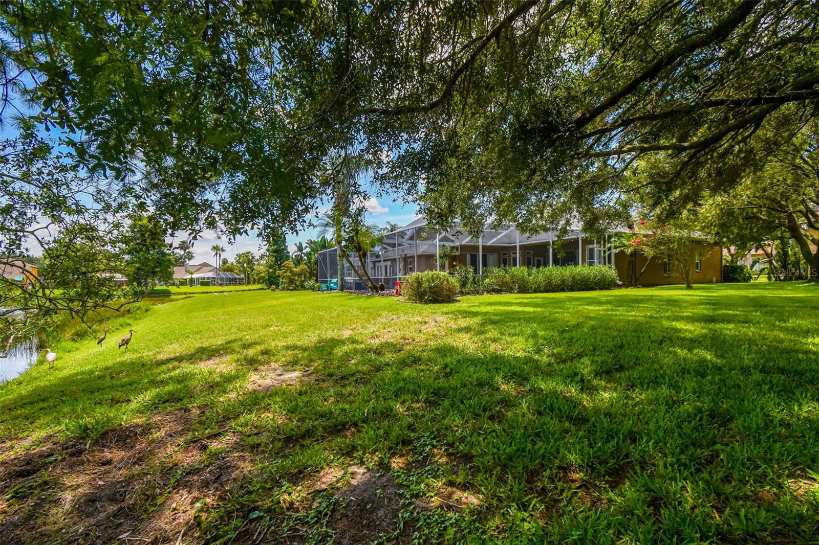 Listing photo id 63 for 10310 Millport Drive