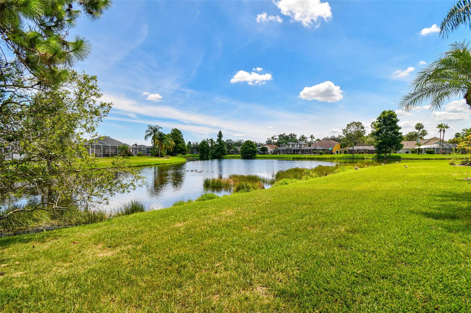 Listing photo id 65 for 10310 Millport Drive