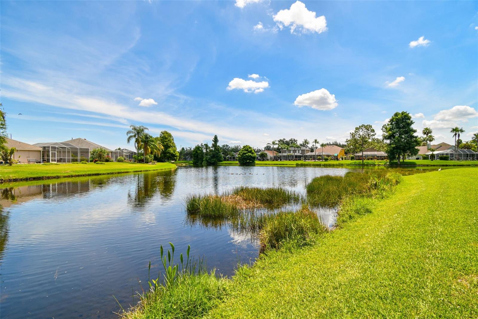 Listing photo id 66 for 10310 Millport Drive