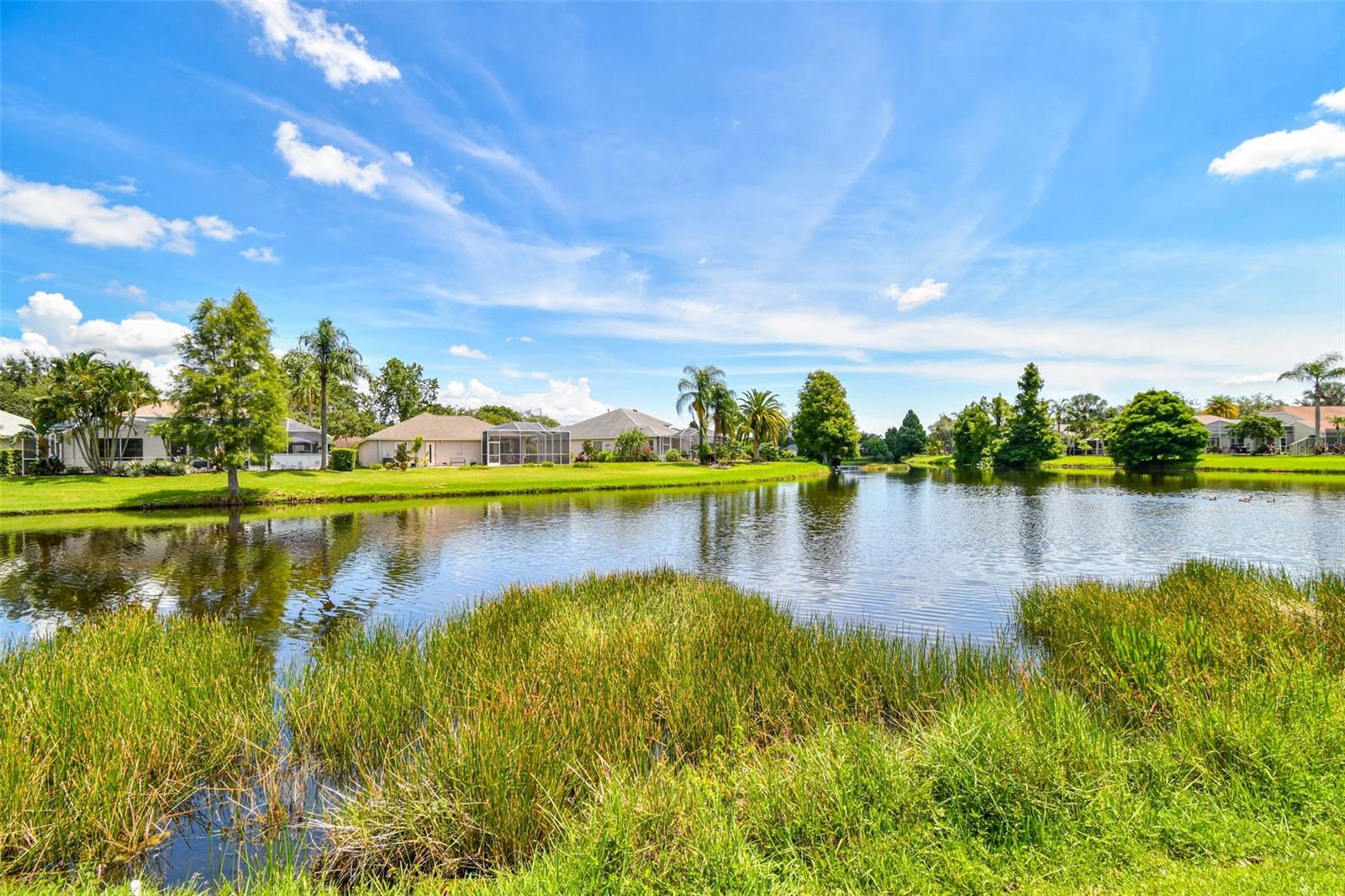 Listing photo id 67 for 10310 Millport Drive
