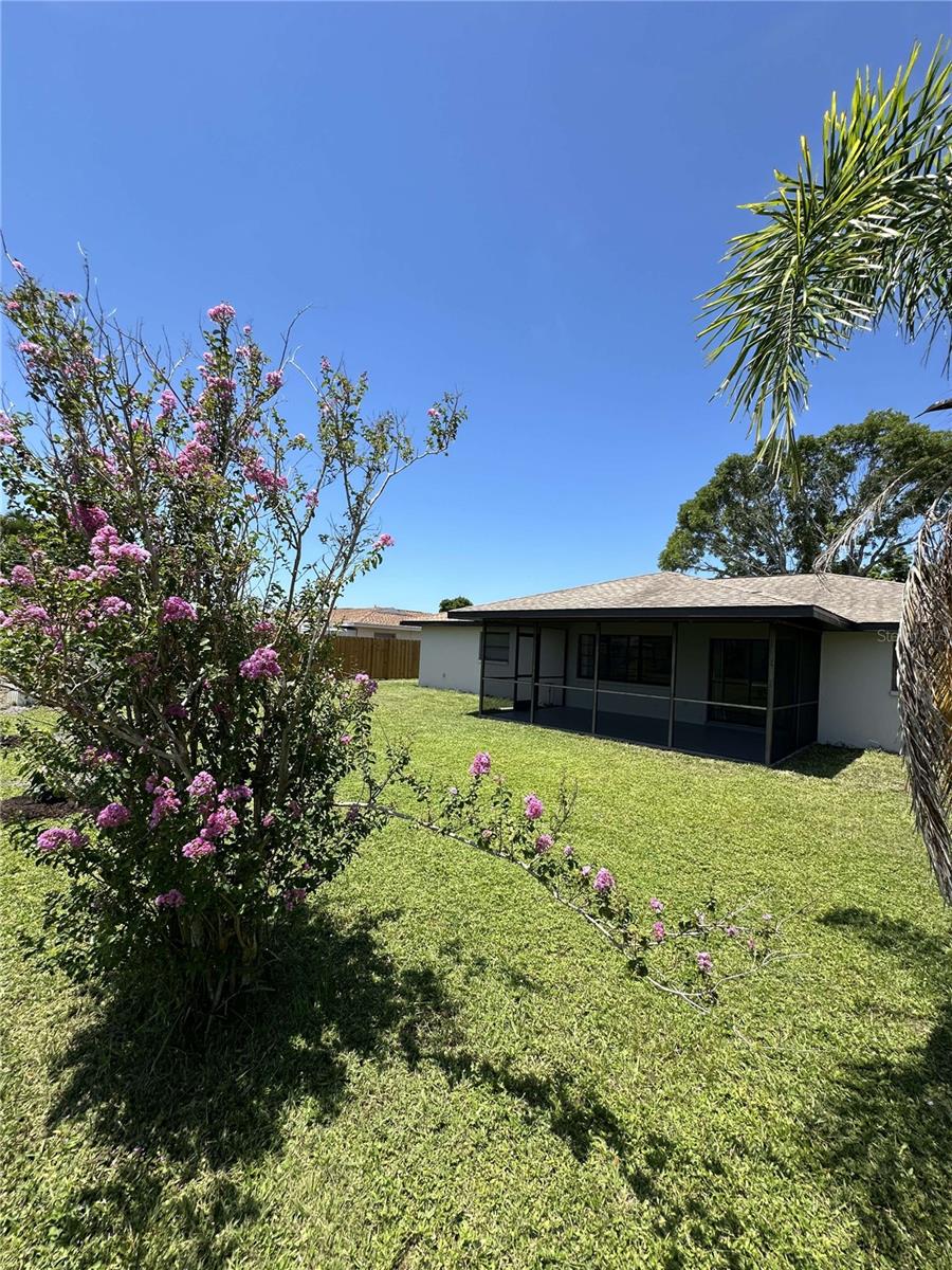 Image 6 of 20 For 1773 Coconut Drive