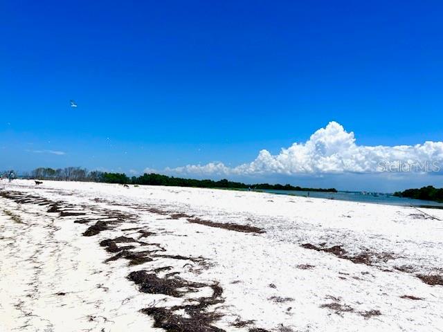 Listing photo id 46 for 5439 Bluepoint Drive