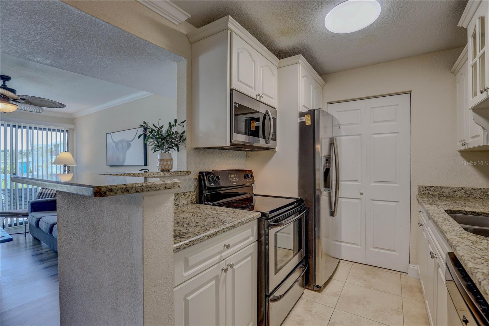 Listing photo id 15 for 455 Alt 19 S 189
