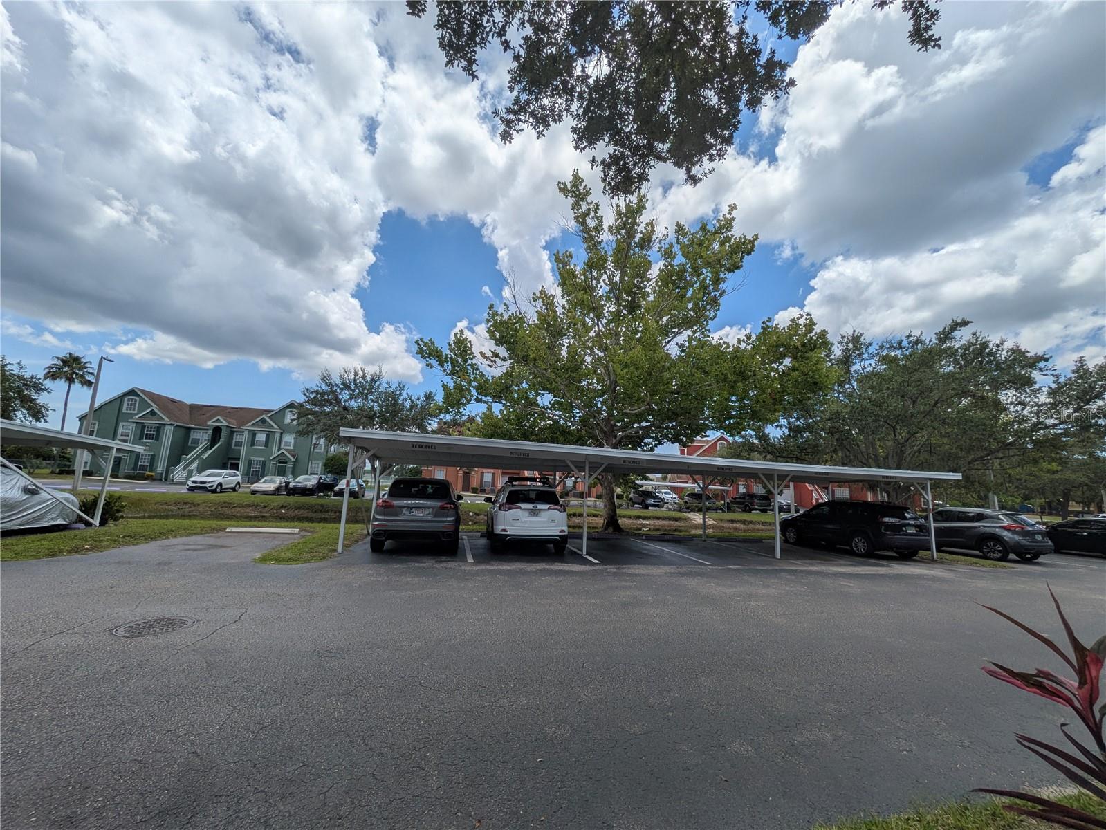 Image 5 of 15 For 9548 Lake Chase Island Way