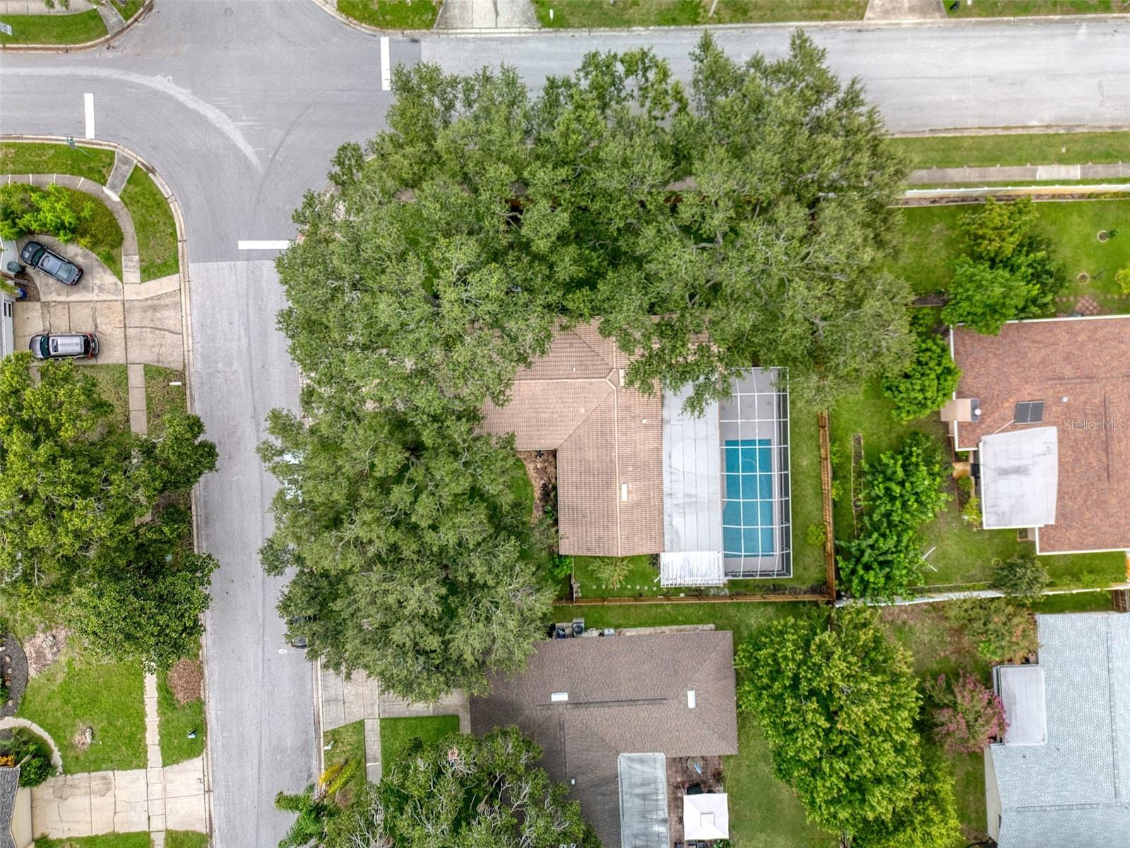 Image 46 of 51 For 1327 Overcash Drive