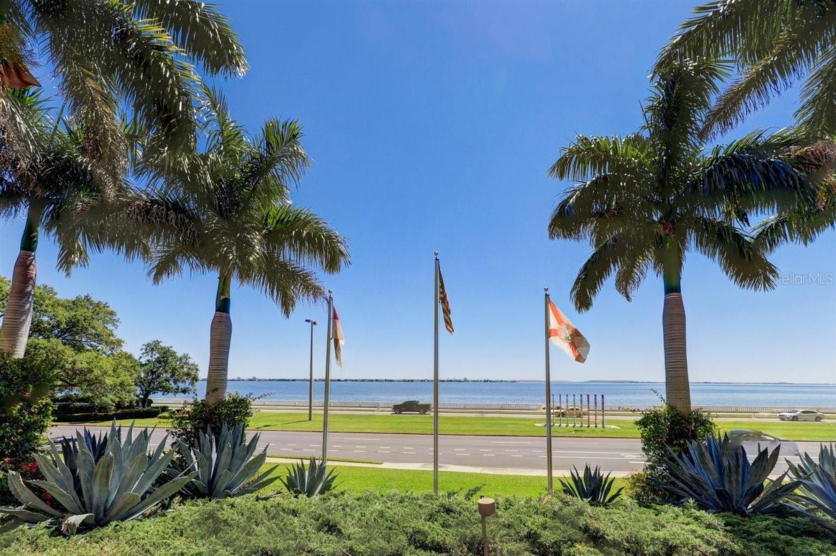 Image 52 of 56 For 3301 Bayshore Boulevard 2302e
