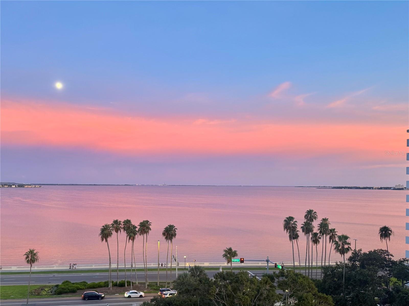Details for 2109 Bayshore Boulevard 801, TAMPA, FL 33606