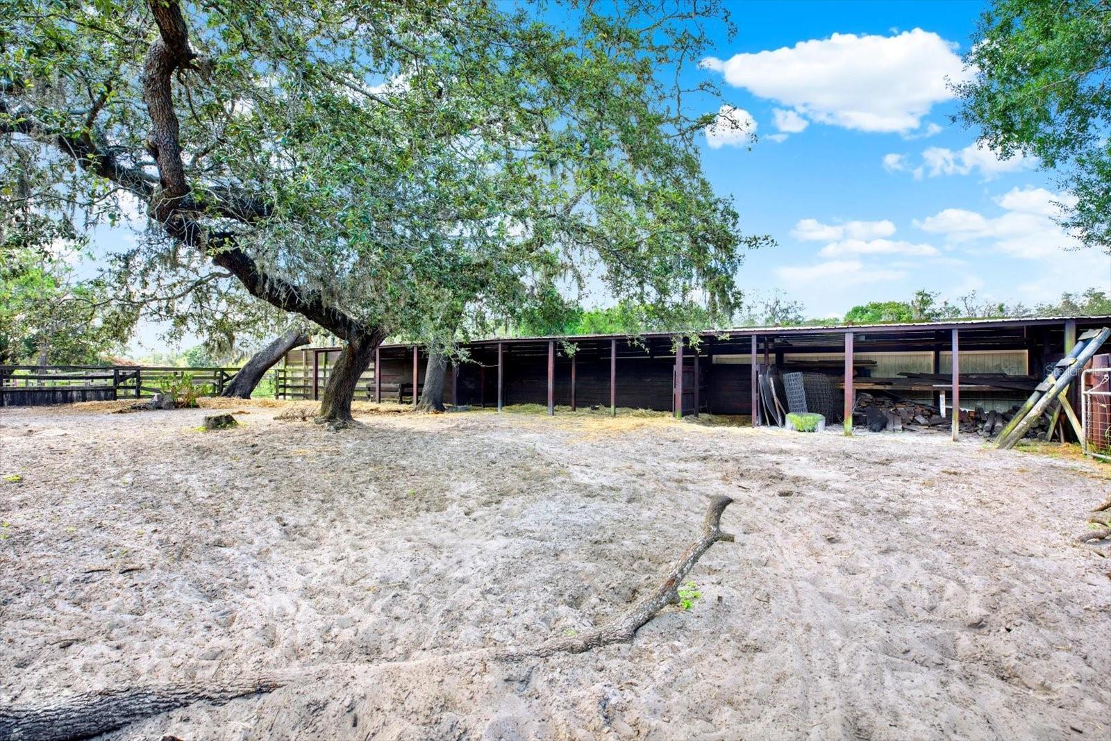 Listing photo id 18 for 18513 Dakota Road