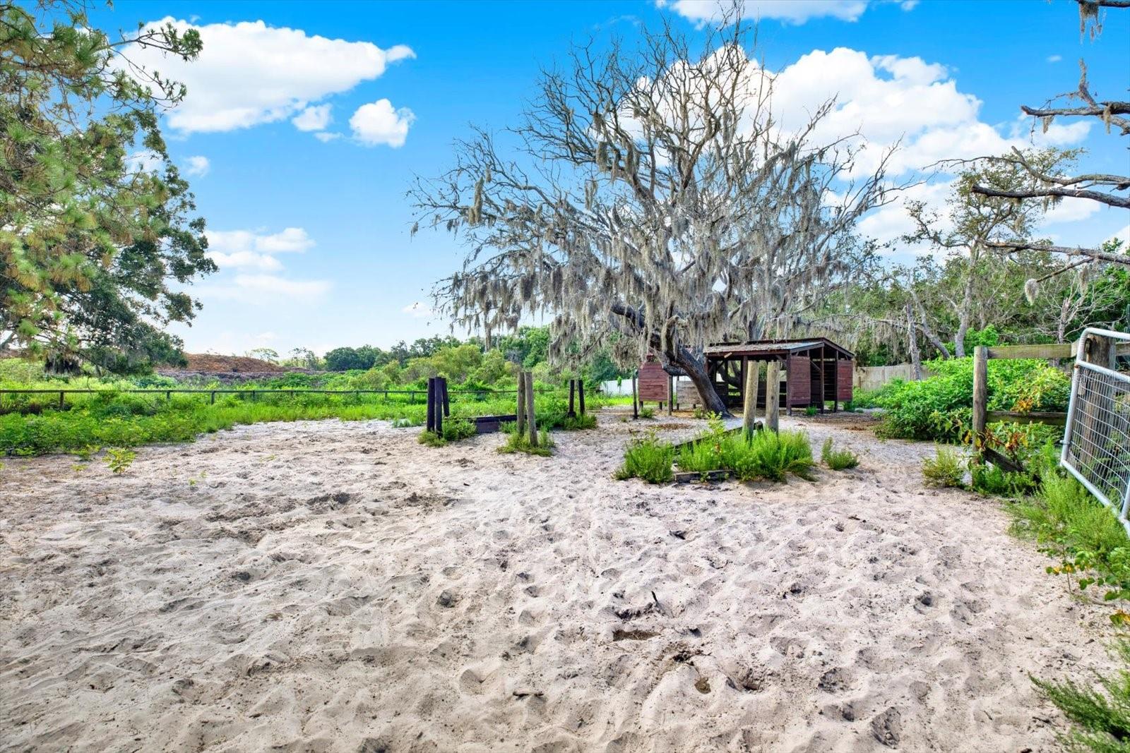 Listing photo id 19 for 18513 Dakota Road