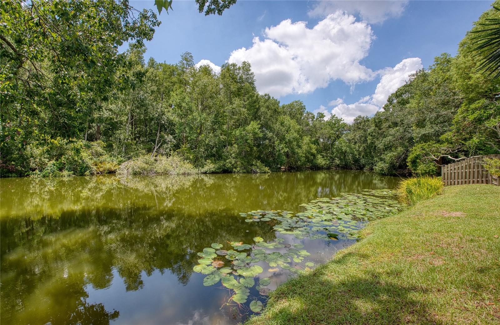 Image 8 of 49 For 4608 Ridge Point Drive