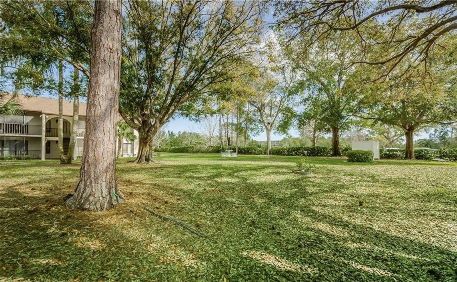 Image 13 of 16 For 2568 Pine Ridge Way S C1
