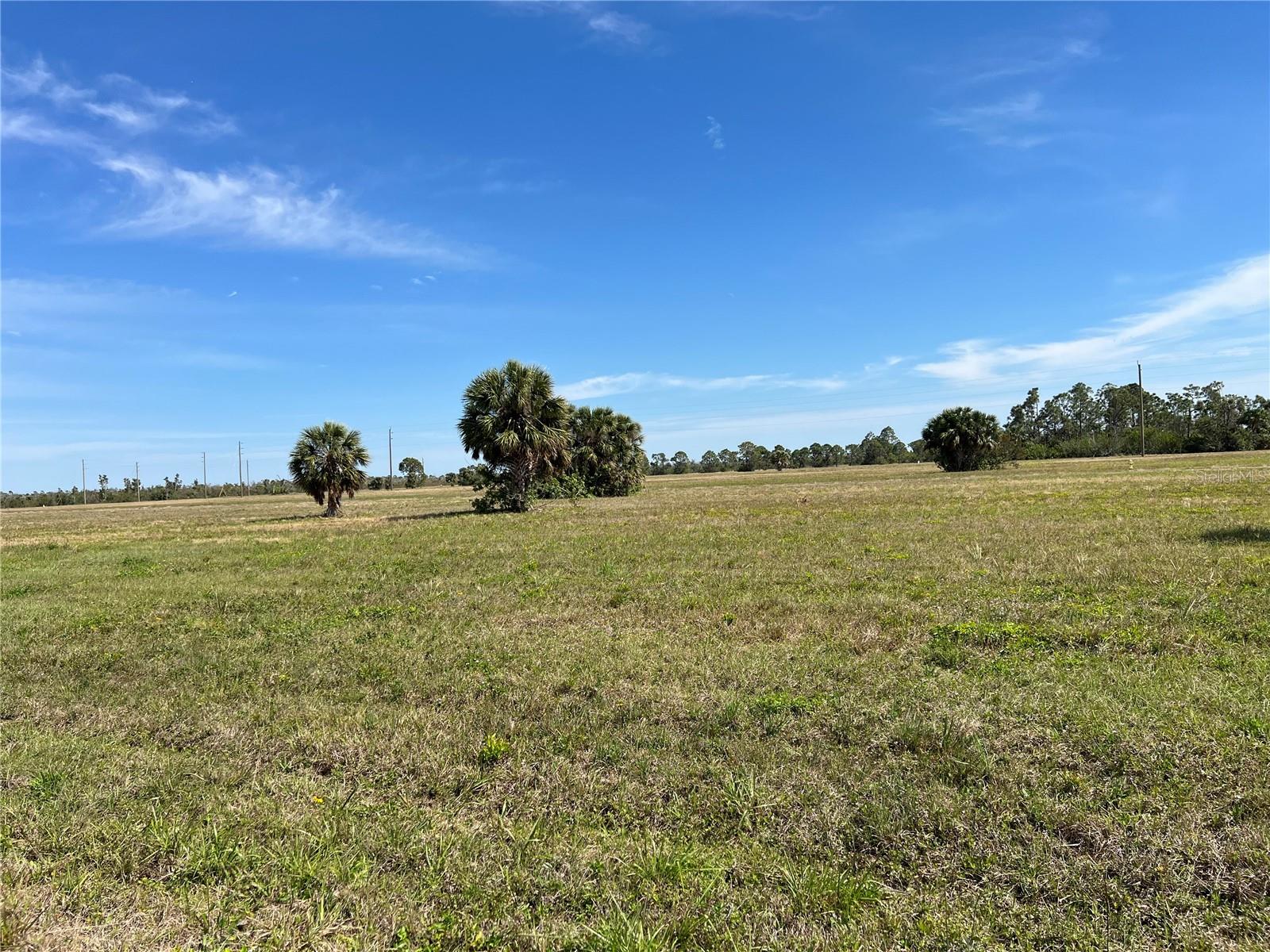 Image 3 of 12 For 12360 Greenling Way
