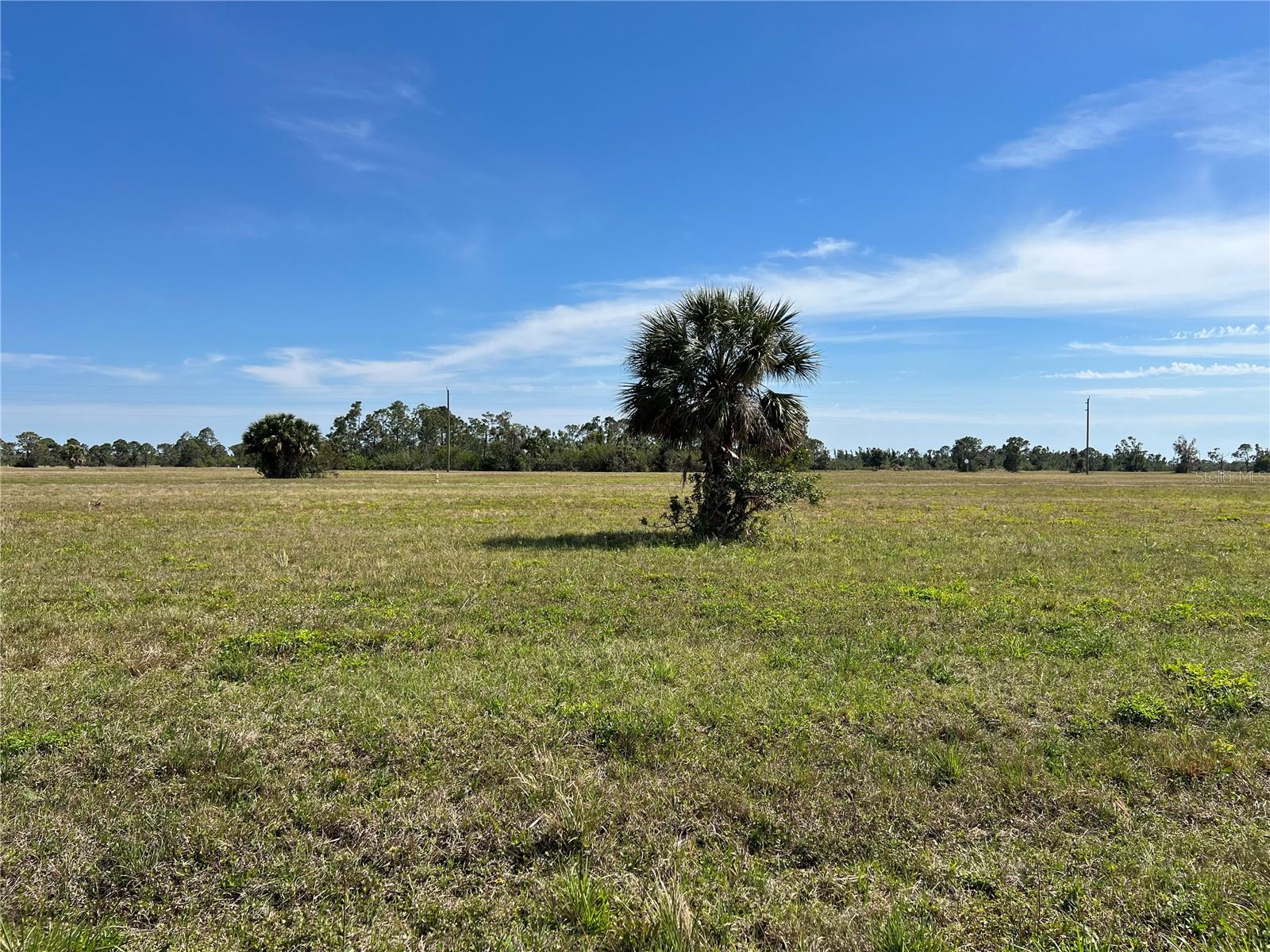 Image 4 of 12 For 12360 Greenling Way