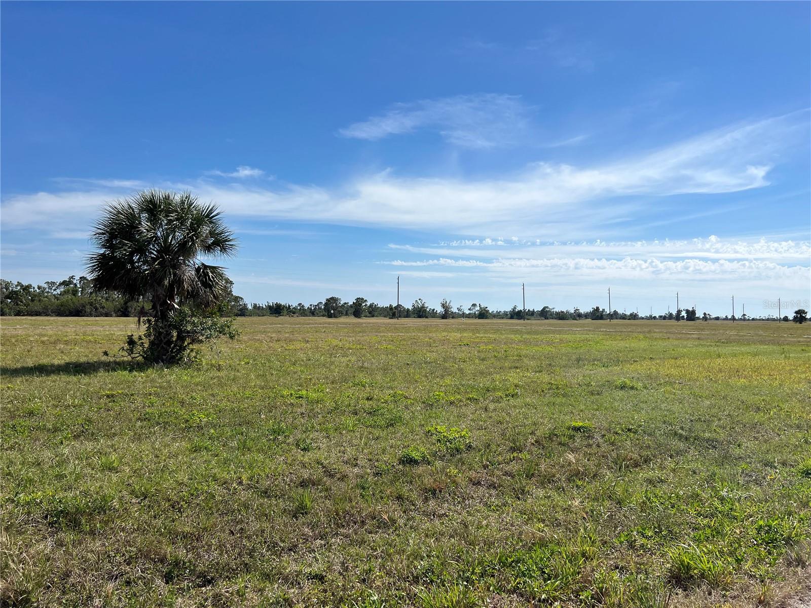 Image 5 of 12 For 12360 Greenling Way