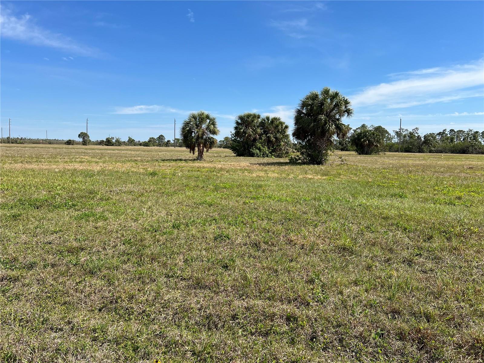 Image 6 of 12 For 12360 Greenling Way