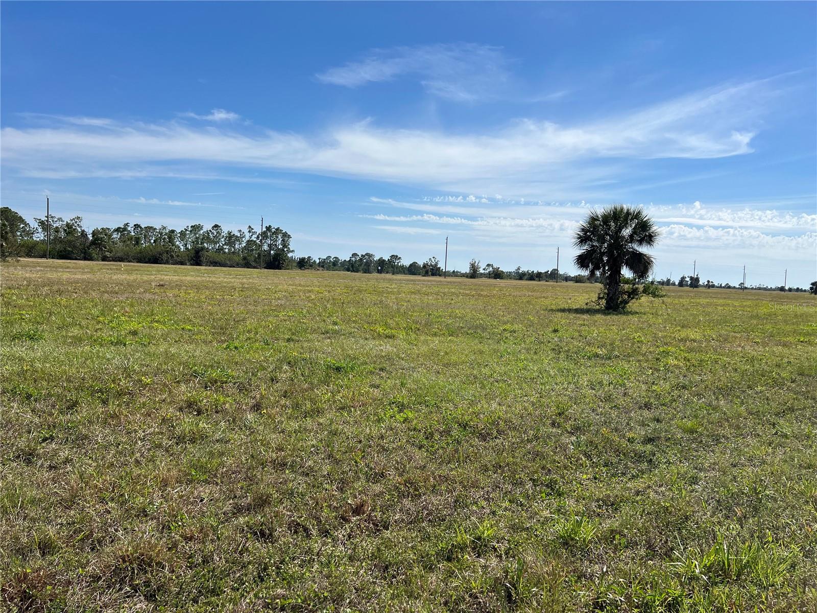 Image 7 of 12 For 12360 Greenling Way