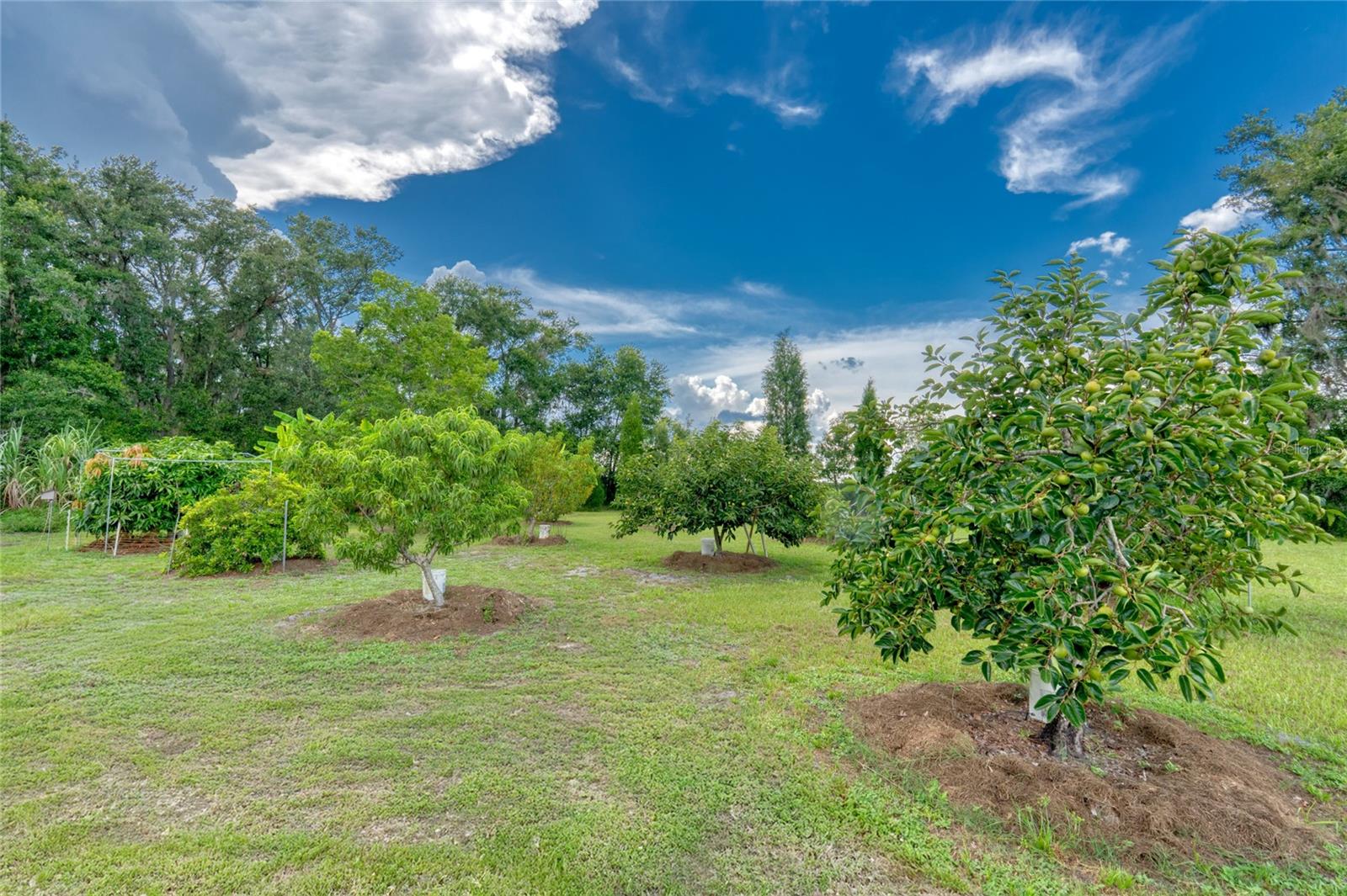 Image 54 of 65 For 6702 Dormany Road