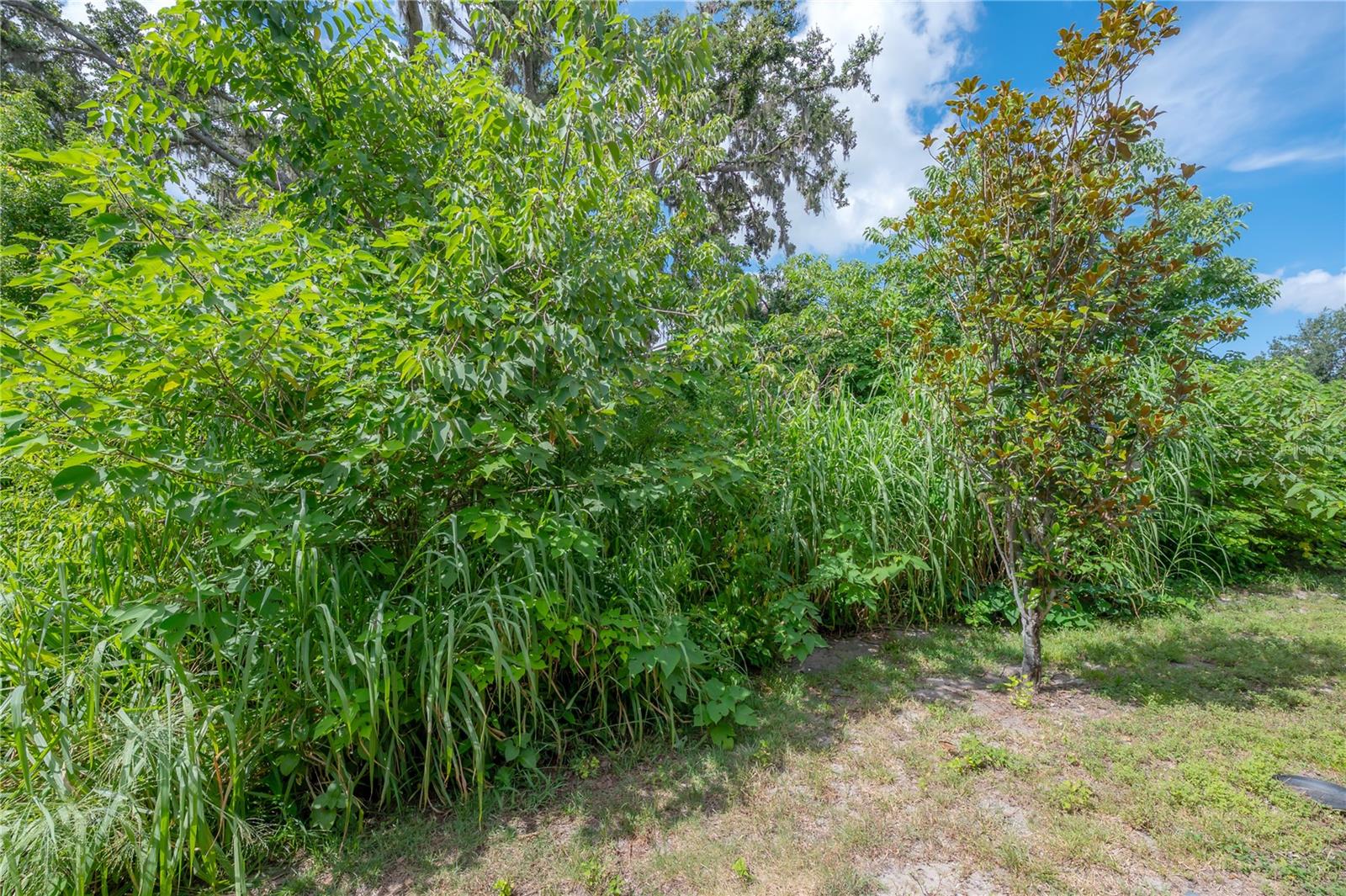 Image 42 of 55 For 10687 Lake Montauk Drive