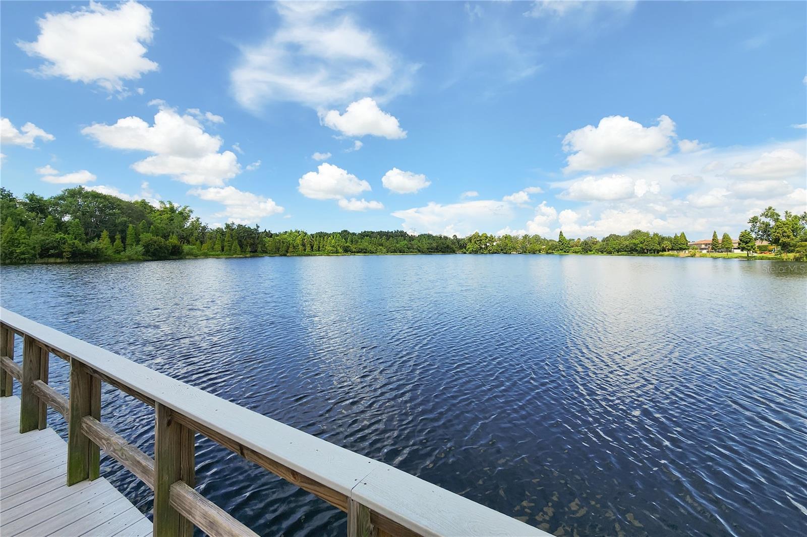 Image 49 of 55 For 10687 Lake Montauk Drive