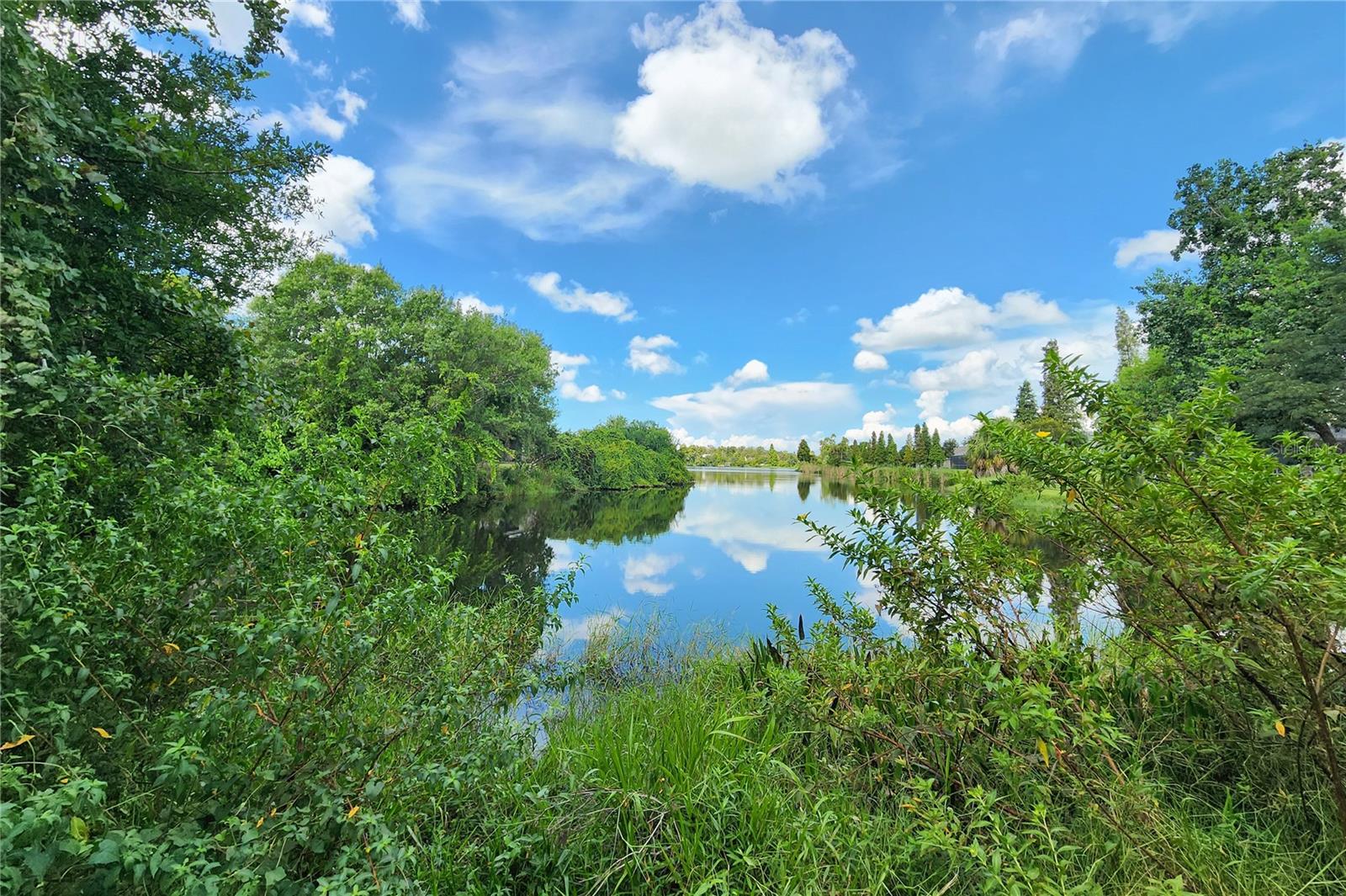 Image 54 of 55 For 10687 Lake Montauk Drive