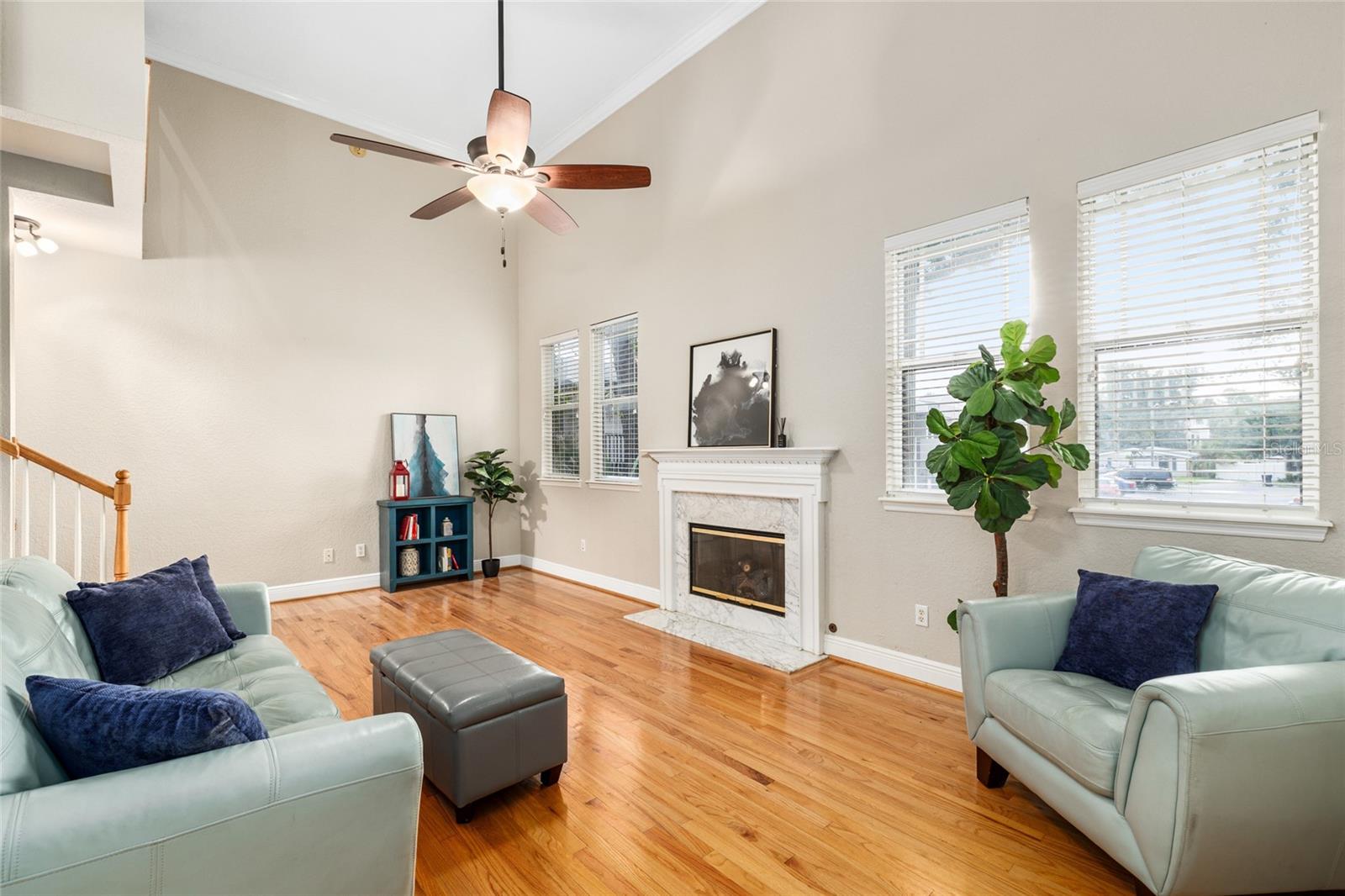 Image 7 of 51 For 3315 De Leon Street 7