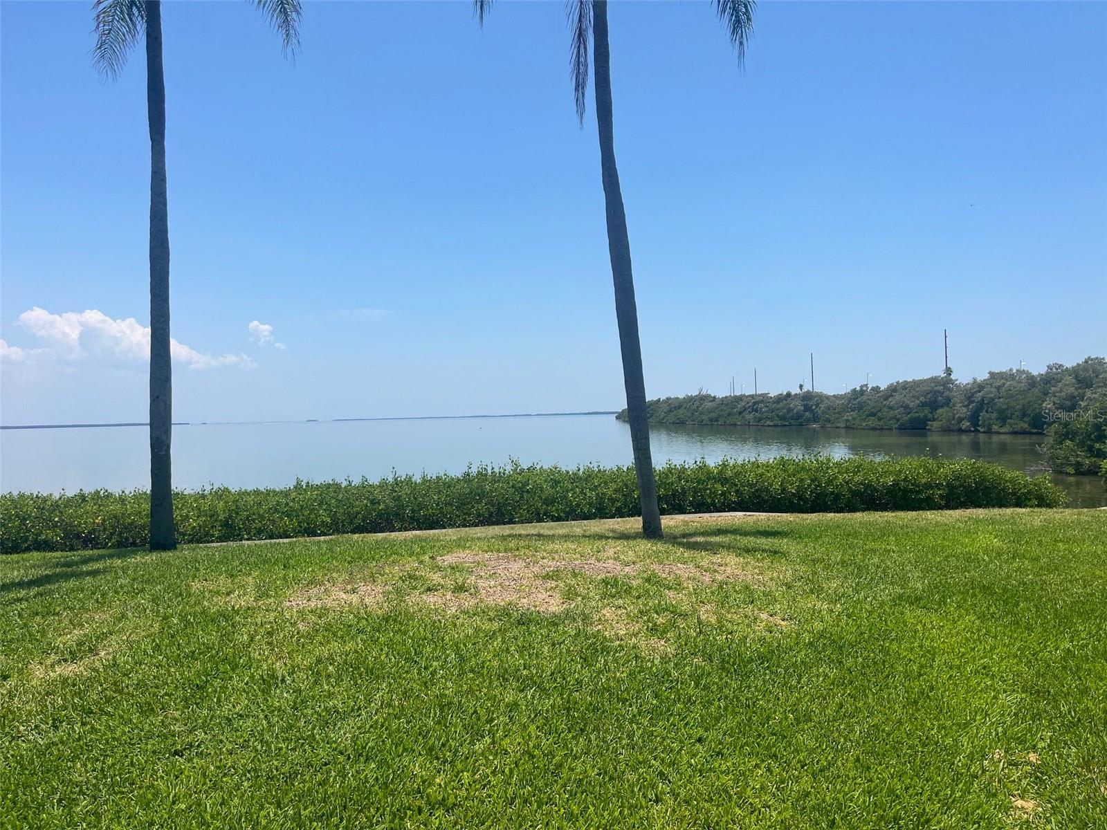 Image 16 of 17 For 6372 Palma Del Mar Boulevard S 214