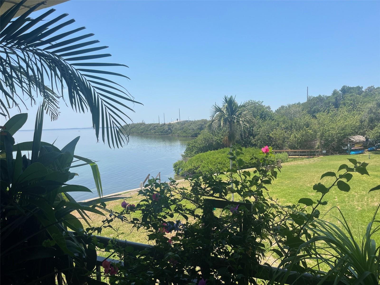 Image 2 of 17 For 6372 Palma Del Mar Boulevard S 214