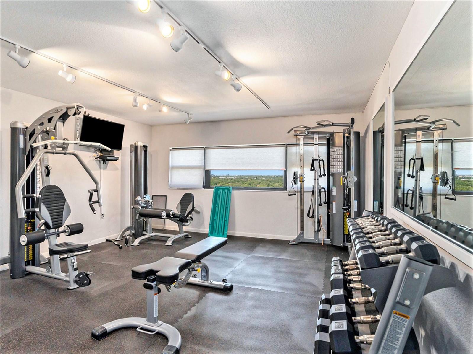 Image 20 of 23 For 4141 Bayshore Boulevard 1203