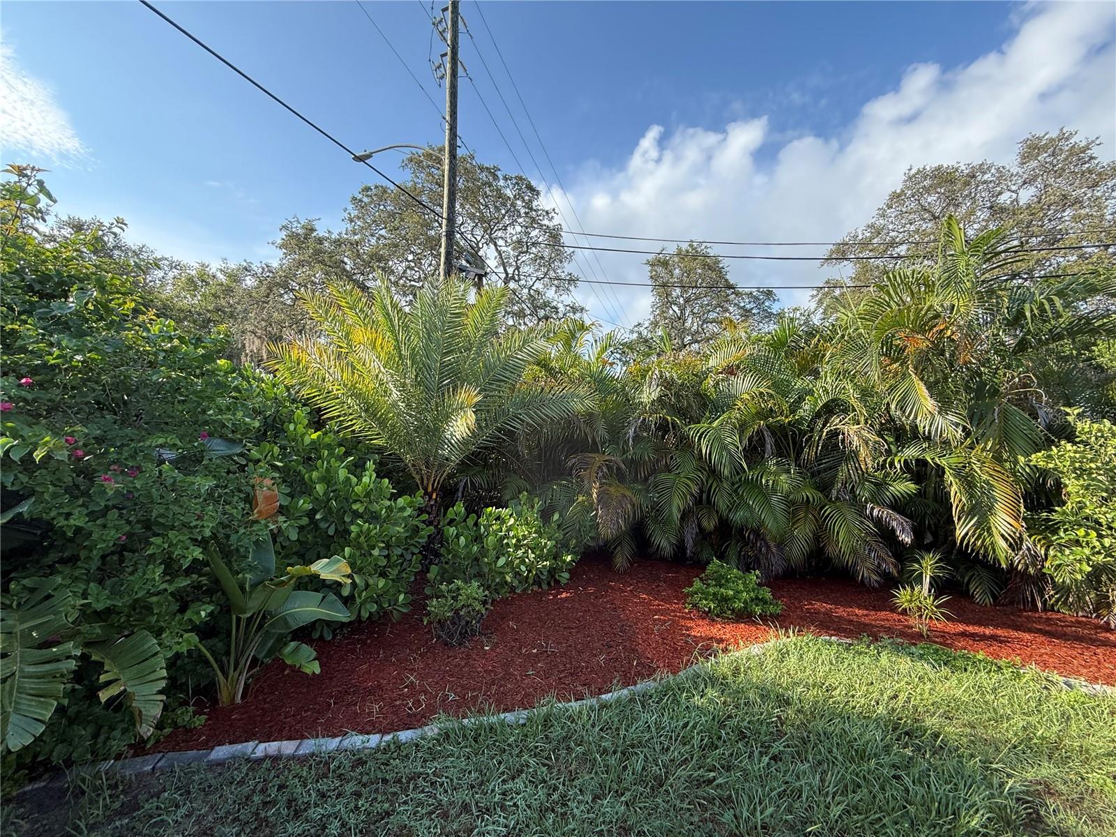 Image 33 of 46 For 1591 Druid Road E