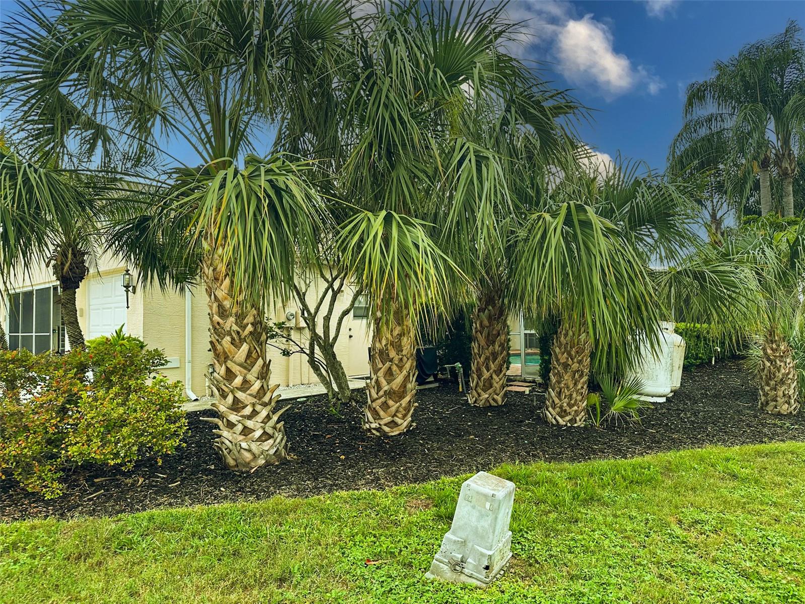Listing photo id 74 for 4558 Whitton Way