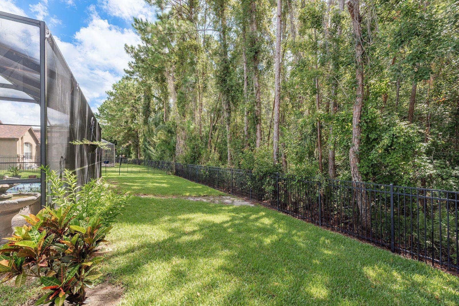 Listing photo id 48 for 16722 Ivy Lake Drive