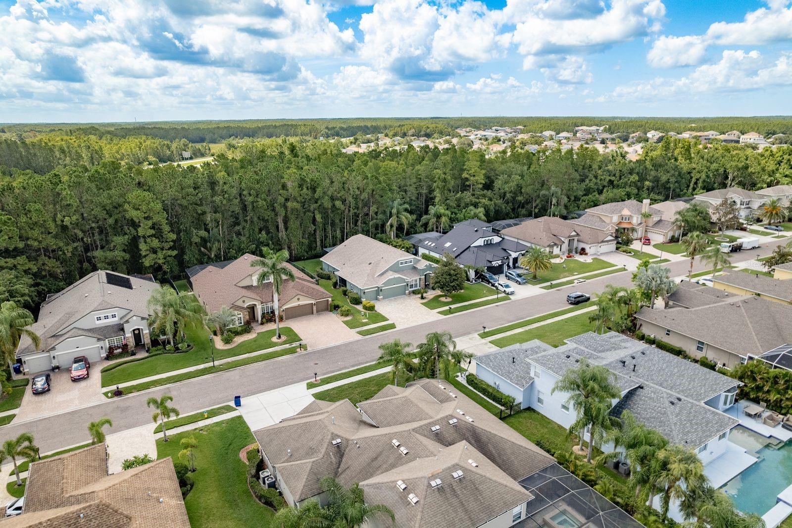 Listing photo id 56 for 16722 Ivy Lake Drive