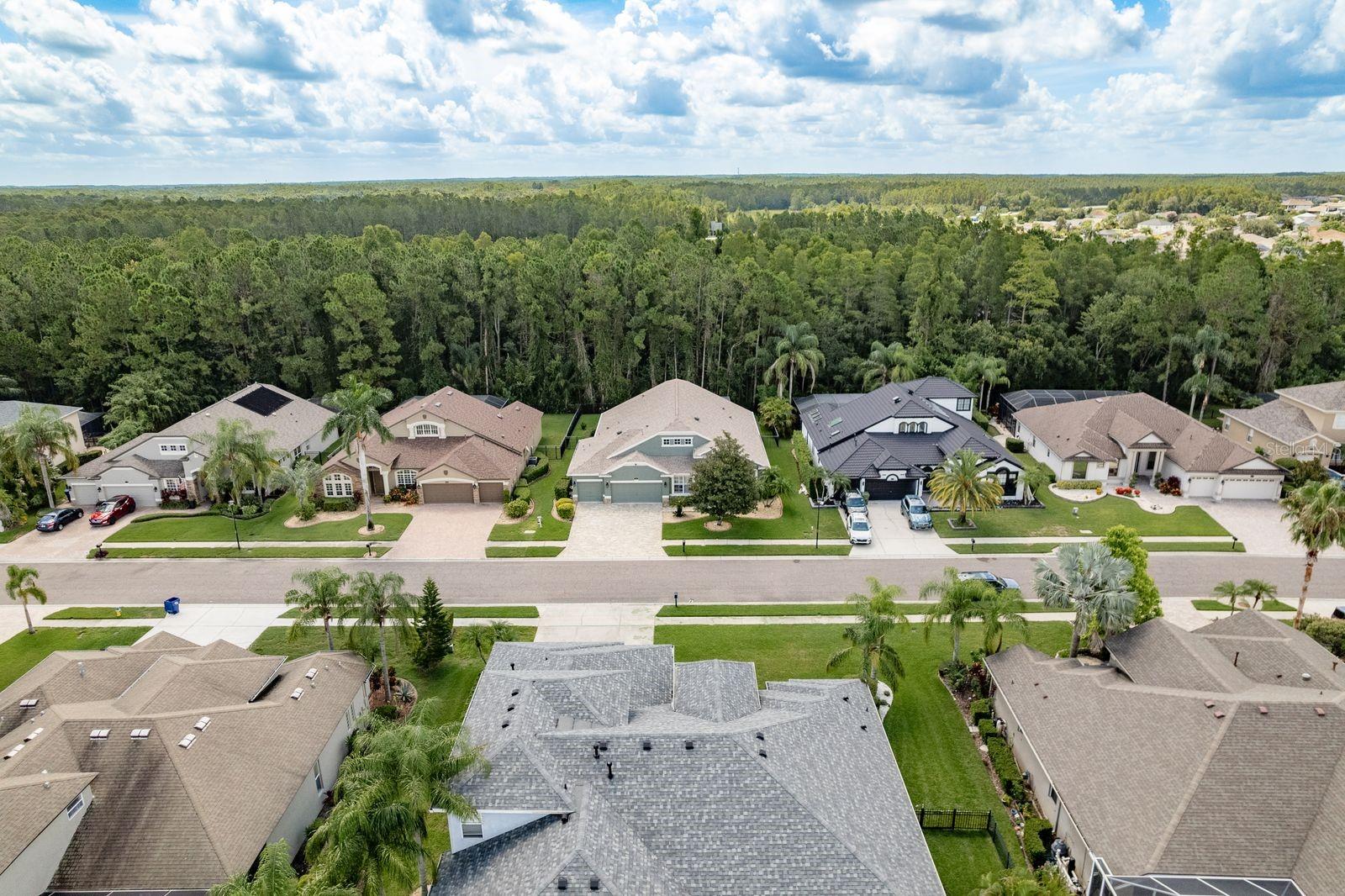 Listing photo id 57 for 16722 Ivy Lake Drive