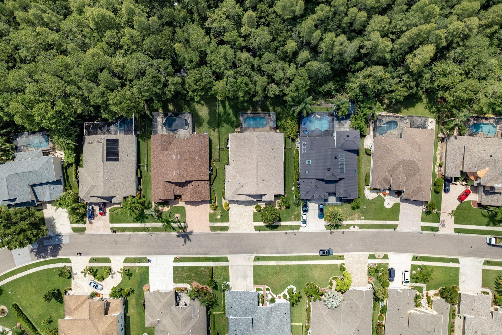 Listing photo id 59 for 16722 Ivy Lake Drive