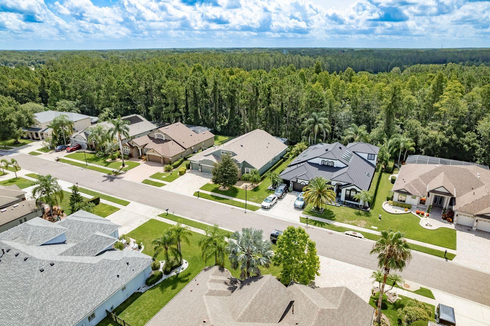 Listing photo id 60 for 16722 Ivy Lake Drive