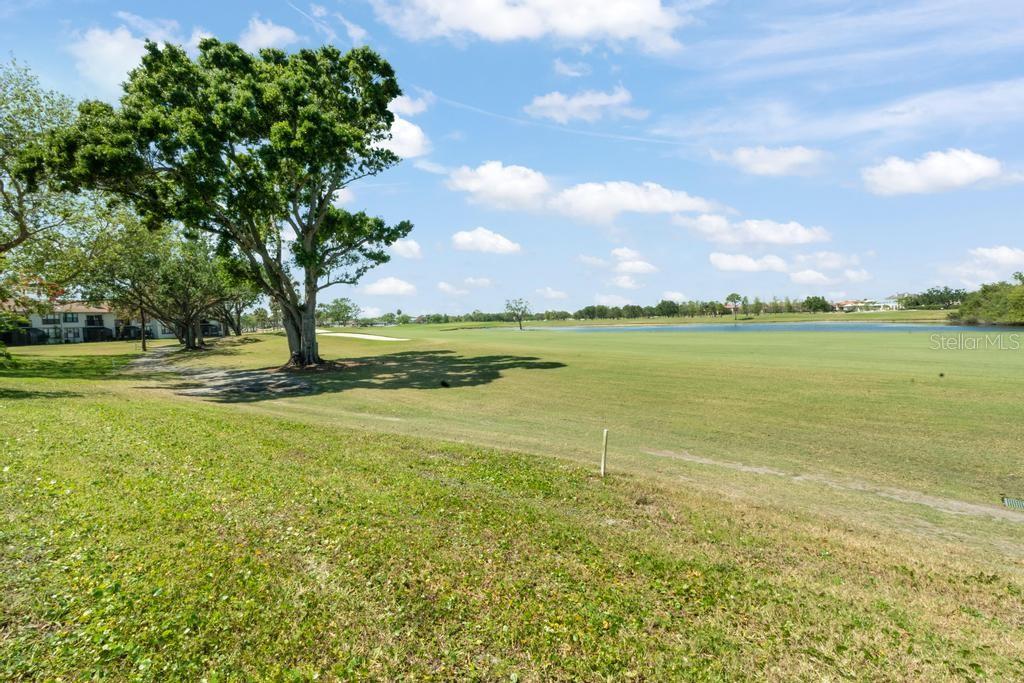 Image 4 of 49 For 2017 Skimmer Court W 416