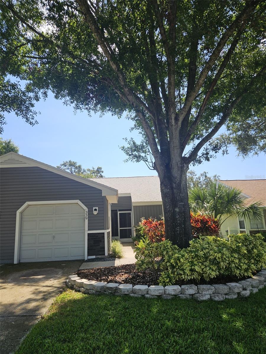 Image 5 of 35 For 339 Petrea Drive 339