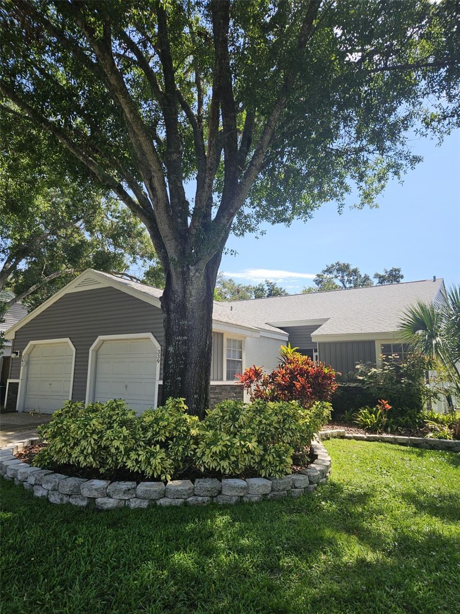 Image 6 of 35 For 339 Petrea Drive 339