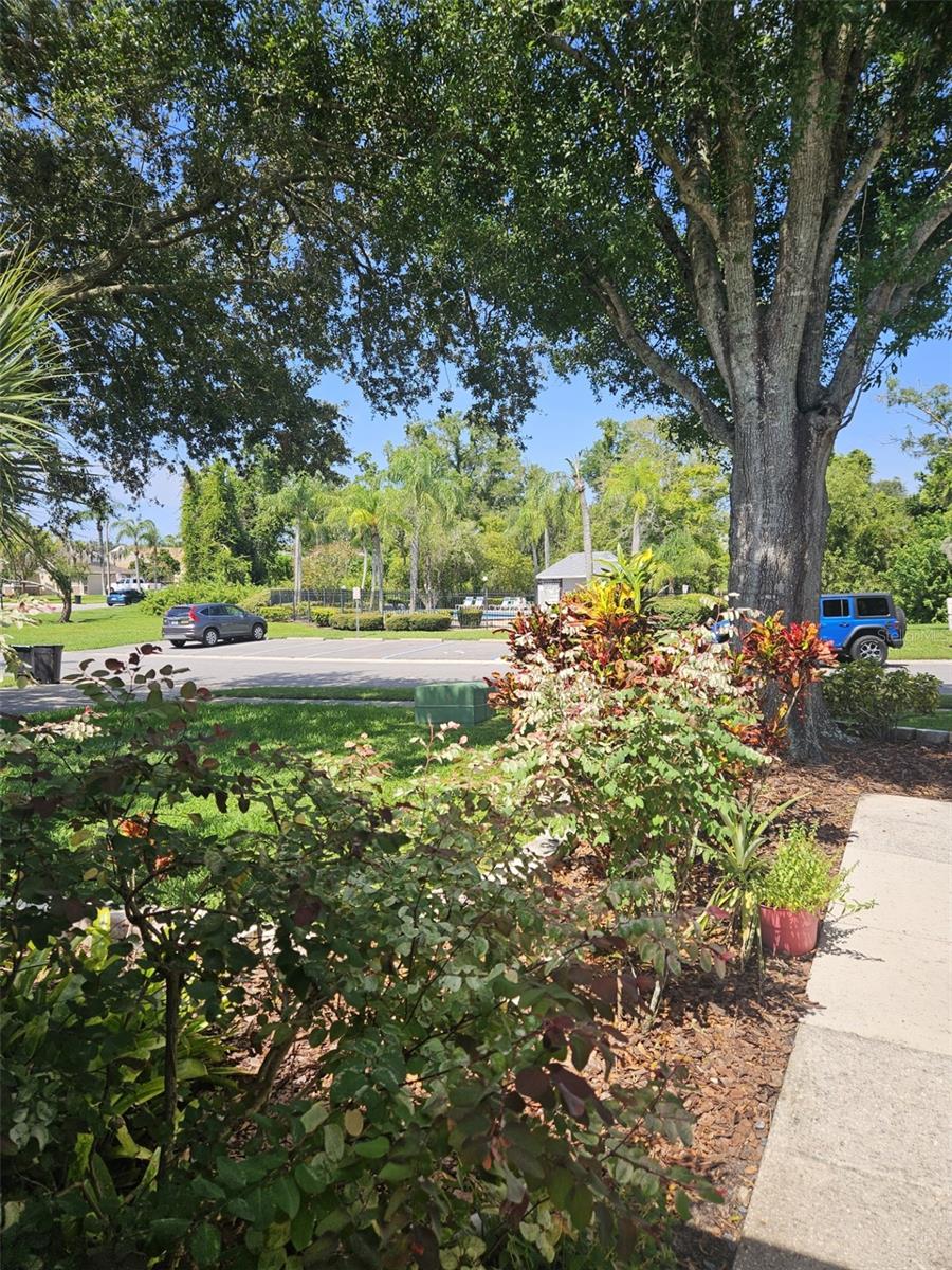 Image 7 of 35 For 339 Petrea Drive 339