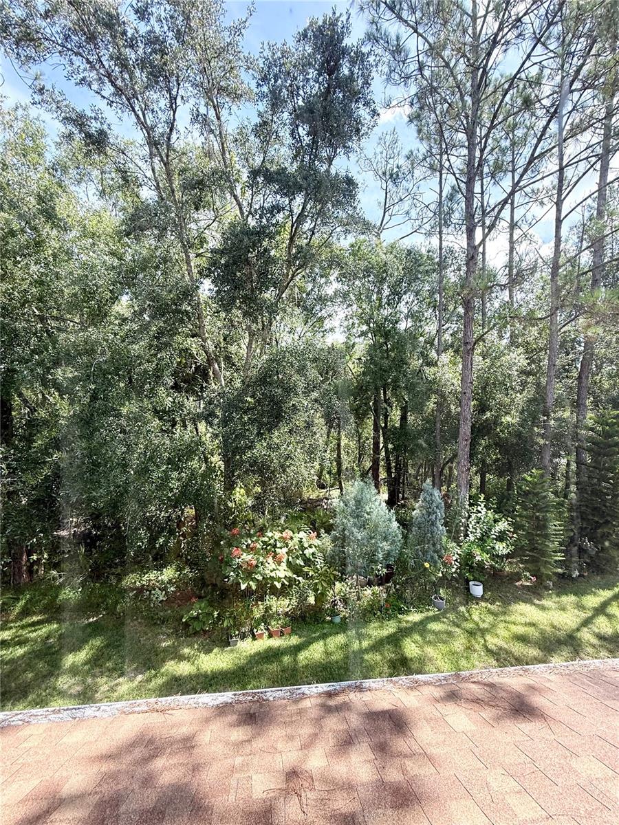 Image 11 of 14 For 8654 Hunters Key Circle