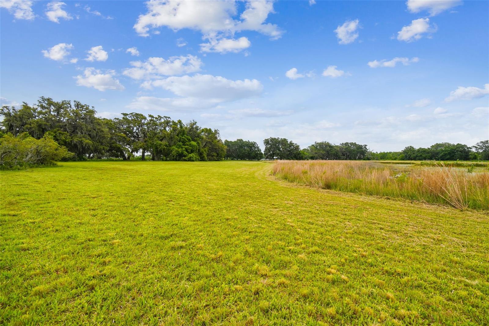 Image 7 of 100 For 13711 Lussier Lane
