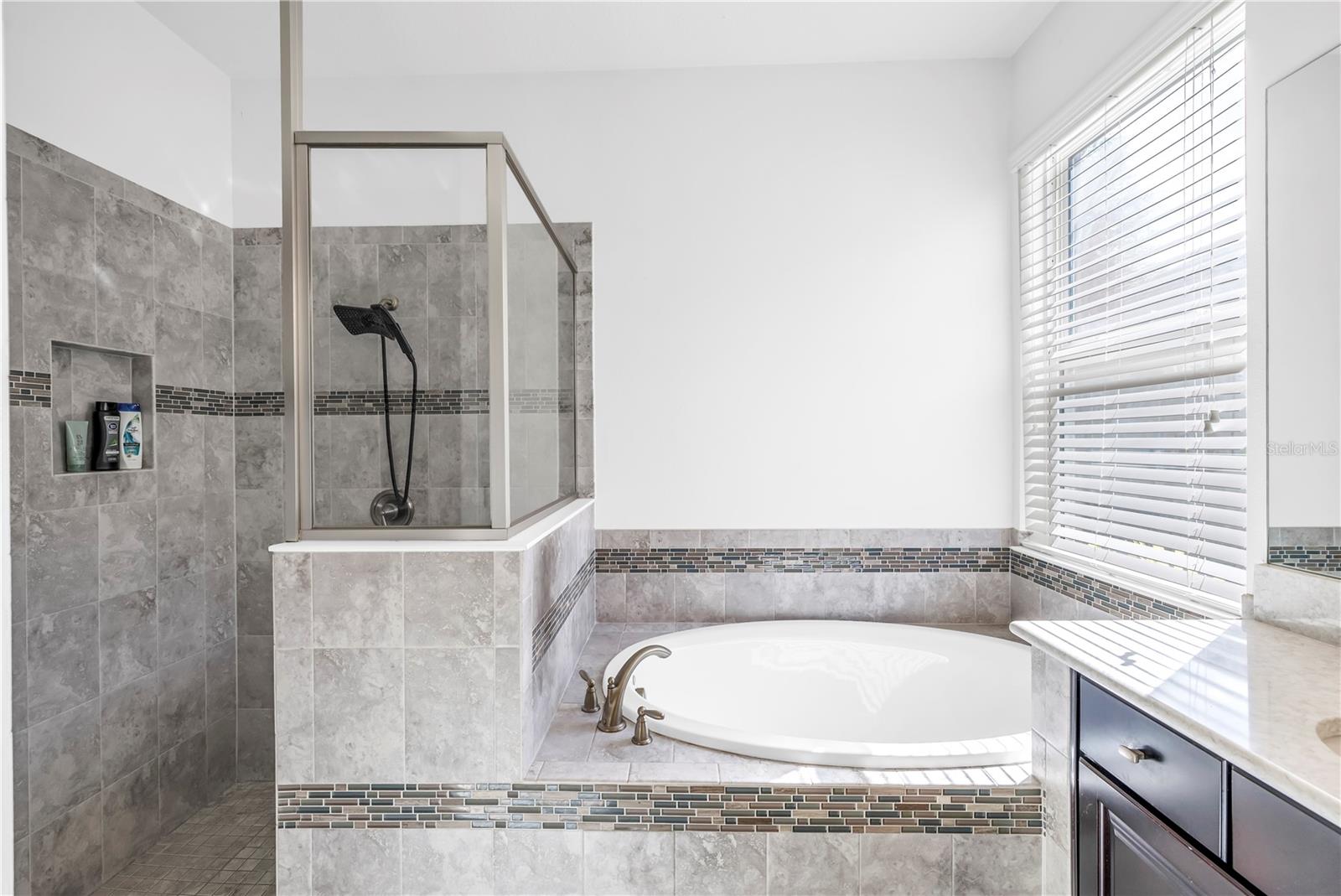 Image 21 of 74 For 27094 Carolina Aster Drive